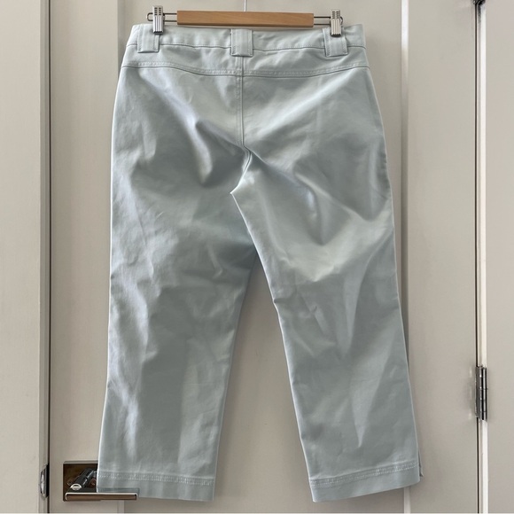 Banana Republic Martin Capri Pale Blue Cropped Pants Spring Baby Blue Size 10 - Picture 2 of 9